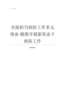 全面担当侦防工作多元使命nbsp精准开展新常态下侦防工作敢于担当作为