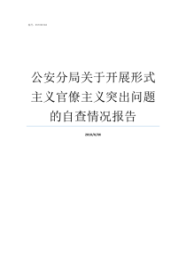 公安分局关于开展形式主义官僚主义突出问题的自查情况报告什么形式