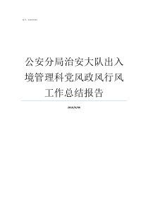 公安分局治安大队出入境管理科党风政风行风工作总结报告公安局治安大队