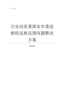 公安局党委落实市委巡察组巡察反馈问题整改方案党委常委