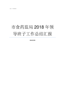 市食药监局2018年领导班子工作总结汇报2019药监局初级药师