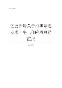 区公安局关于扫黑除恶专项斗争工作阶段总结汇报淮安区扫黑除恶人员名单