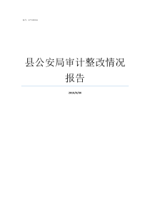 县公安局审计整改情况报告审计整改