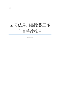 县司法局扫黑除恶工作自查整改报告司法局扫黑除恶工作存在问题