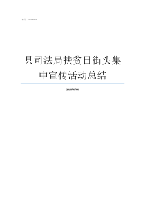 县司法局扶贫日街头集中宣传活动总结