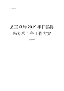 县重点局2019年扫黑除恶专项斗争工作方案2019一本分数线