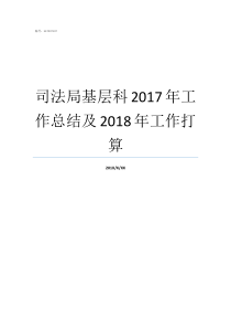 司法局基层科2017年工作总结及2018年工作打算2018工作总结