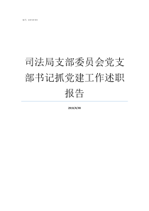 司法局支部委员会党支部书记抓党建工作述职报告党支部委员