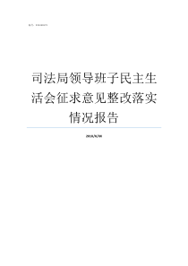 司法局领导班子民主生活会征求意见整改落实情况报告