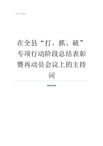 在全县打抓破专项行动阶段总结表彰暨再动员会议上的主持词猫抓破了需要打几针