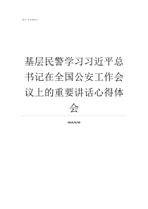 基层民警学习习近平总书记在全国公安工作会议上的重要讲话心得体会