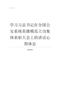 学习习总书记在全国公安系统英雄模范立功集体表彰大会上的讲话心得体会