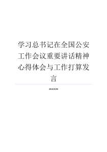 学习总书记在全国公安工作会议重要讲话精神心得体会与工作打算发言