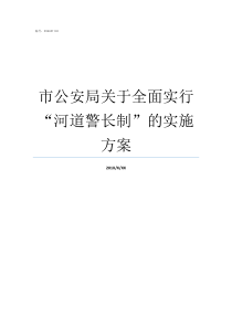 市公安局关于全面实行河道警长制的实施方案