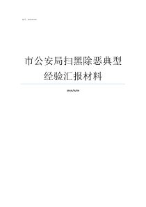 市公安局扫黑除恶典型经验汇报材料肇庆市公安局