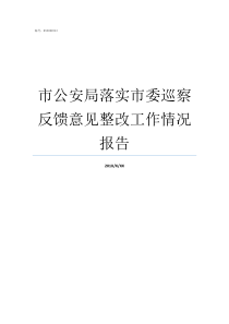 市公安局落实市委巡察反馈意见整改工作情况报告市委巡察组