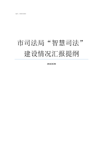 市司法局智慧司法建设情况汇报提纲