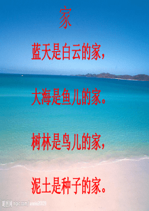 《浅水洼里的小鱼》PPT课件