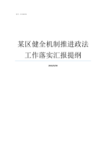 某区健全机制推进政法工作落实汇报提纲建立机制还是健全机制