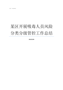 某区开展吸毒人员风险分类分级管控工作总结