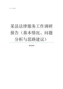 某县法律服务工作调研报告基本情况问题分析与思路建议法律服务工作者条件