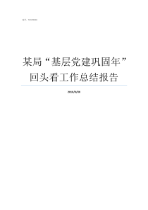 某局基层党建巩固年回头看工作总结报告基层党建巩固年是哪年