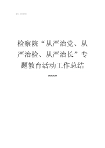 检察院从严治党从严治检从严治长专题教育活动工作总结从严治党检察