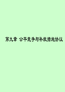 第九章公平竞争与补救措施协议