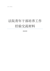 法院青年干部培养工作经验交流材料法院经验