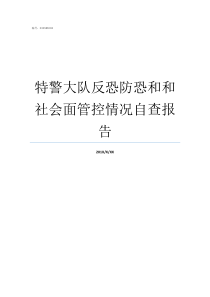 特警大队反恐防恐和和社会面管控情况自查报告