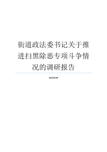 街道政法委书记关于推进扫黑除恶专项斗争情况的调研报告政法委书记管什么街道政法委书记的级别