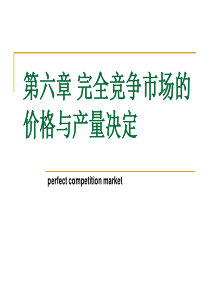 第六章完全竞争市场中的厂商