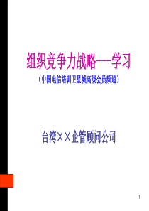 组织竞争力战略（PPT 38页）