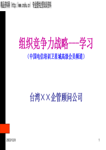 组织竞争力战略（PPT38页）