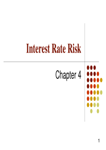 4. Interest Rate Risk