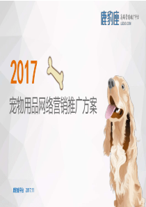 宠物用品品牌推广方案简介-宠物用品营销推广方案介绍