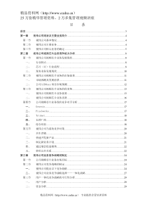 视伟公司视频芯片业务的竞争战略研究