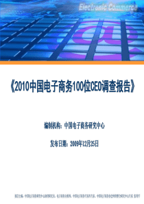 2010中国电子商务100位CEO调查报告