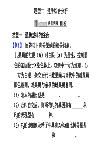 2010届高三生物高考二轮专题复习课件：第二部分 题型突破题型二  遗传综合分析新人教版