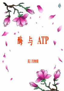 2011年高考高三二轮复习生物酶与ATP专题