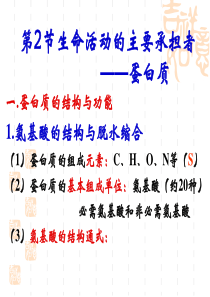 人教版教学课件生物第一轮复习生命活动的主要承担者――蛋白质