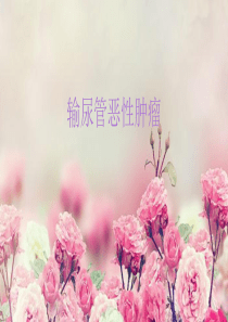 输尿管恶性肿瘤