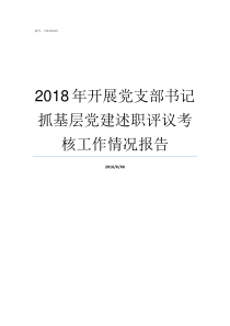 2018年开展党支部书记抓基层党建述职评议考核工作情况报告2018年党支部活动