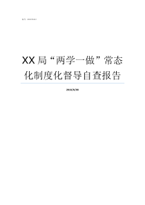 XX局两学一做常态化制度化督导自查报告做XX经历