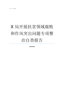 X局开展扶贫领域腐败和作风突出问题专项整治自查报告扶贫领域通报通报