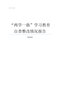 两学一做学习教育自查整改情况报告