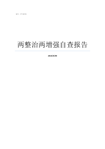 两整治两增强自查报告专项整治自查报告