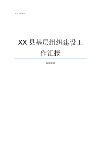 XX县基层组织建设工作汇报XX不X成语