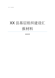 XX县基层组织建设汇报材料