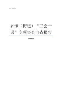 乡镇街道三会一课专项督查自查报告街道属于乡镇吗